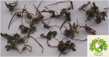 Dược liệu Sài đất