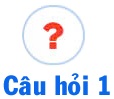 cau hoi 1