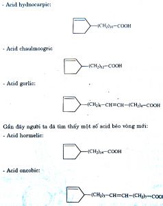 cây đại phong tử