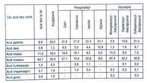 cây đại phong tử