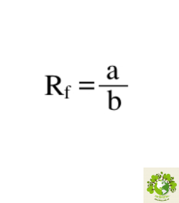 sắc ký lớp mỏng