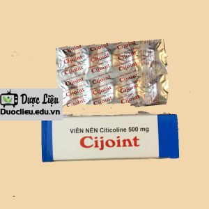 Cijoint