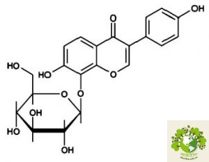 Dược liệu Cát căn