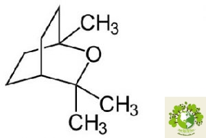 Dược liệu Tràm