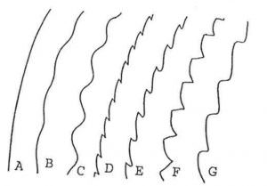 Phân loại lá cây