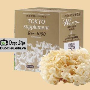 Tokyo Res-1000
