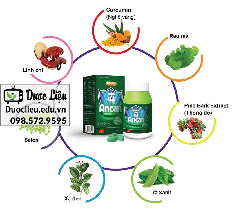 Ancan được tạo thành từ 7 loại thảo dược đặc biệt tốt cho sức khỏe