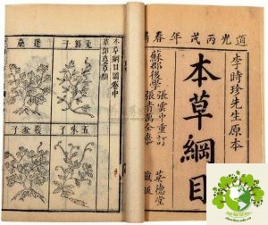 Bản thảo cương mục