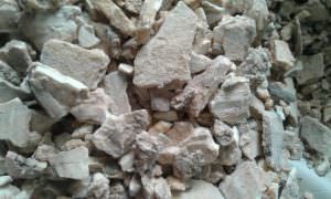 cây cánh kiến trắng