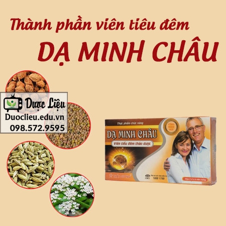 Viên tiểu đêm Dạ Minh Châu