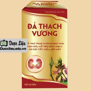 Đả Thạch Vương