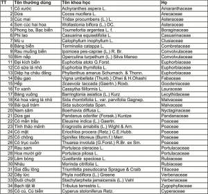 Danh mục cây thuốc ở Hoàng Sa - Trường Sa