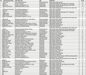 danh mục thực vật ở hoàng sa- trường sa