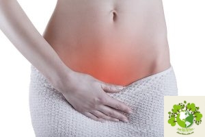 đồ chơi tình dục 4u