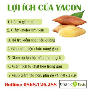 Lợi ích của sâm đất Yacon