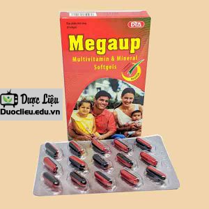 Megaup