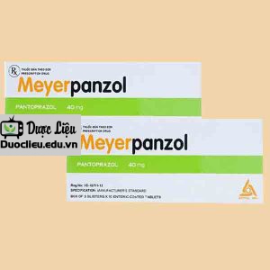 Meyerpanzol