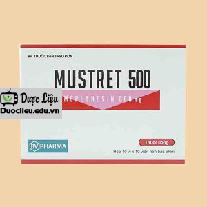 Mustret 500