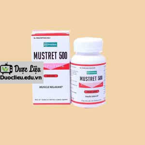 Mustret 500