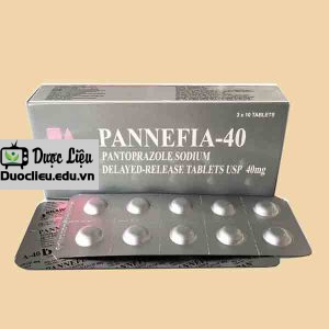 Pannefia – 40