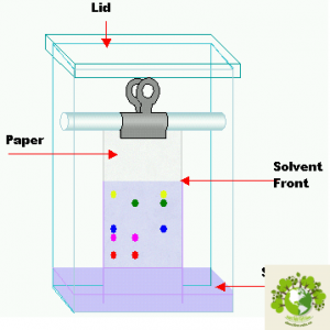 phương pháp sắc ký lớp mỏng