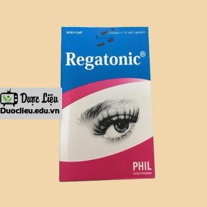 Regatonic