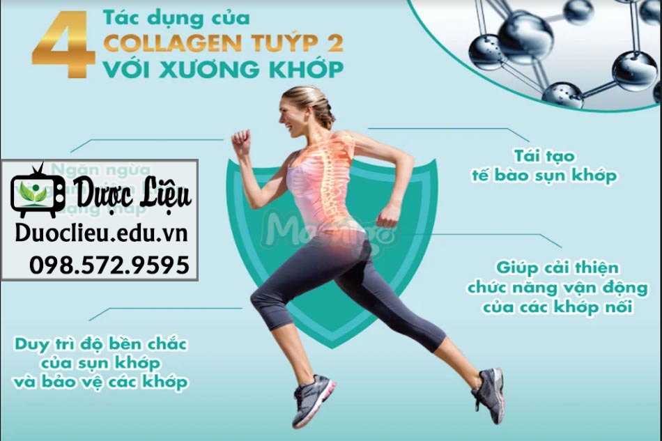 Tác dụng collagen tuyp 2