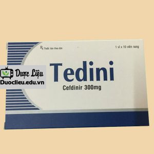 Tedini