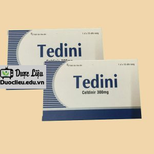 Tedini