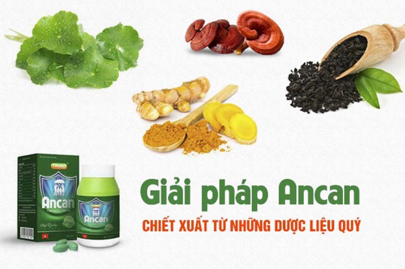Thành phần của Ancan chứa các dược liệu quý rất tốt trong việc hỗ trợ điều trị u bướu