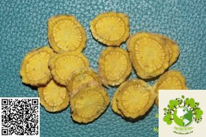 Vị thuốc Hoàng Cầm